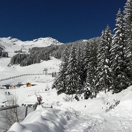 Superbe Studio Aux 7 Laux La Ferrière 外观 照片