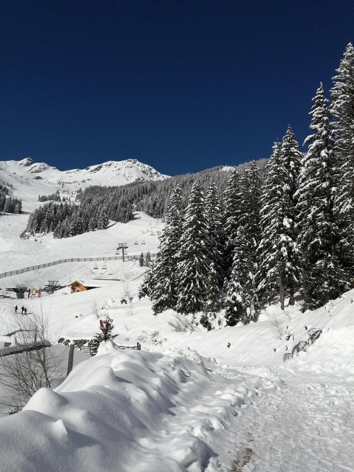 Superbe Studio Aux 7 Laux La Ferrière 外观 照片